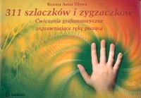 311 szlaczków i zygzaczków