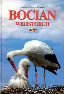 Bocian-tw.op