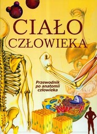 Ciało człowieka