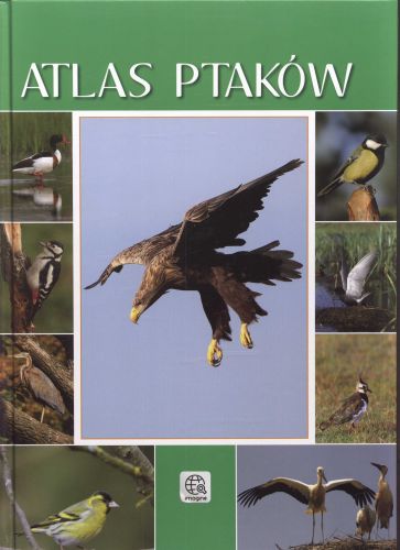 Atlas ptaków