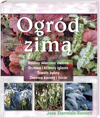 Ogród zimą