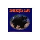 Barwny świat rysunków-30 kartek superzabawy
