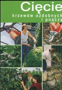Cięcie krzewów ozdobnych i pnączy
