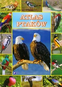 Atlas ptaków