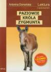 Paziowie króla Zygmunta
