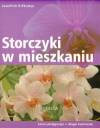 Storczyki w mieszkaniu 