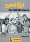Geni@l B1. Arbeitbuch