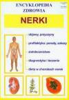 Nerki-encyklopedia.zdrowia