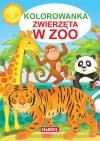Kolorowanka. Zwierzęta w zoo