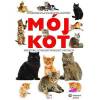 Mój kot niezbędny poradnik