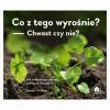 Co z tego wyrośnie? Chwast czy nie?