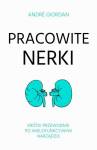 Pracowite nerki