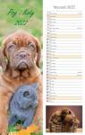 Kalendarz 2022 Ścienny paskowy Psy i koty