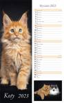 Kalendarz 2023 Ścienny pasek Koty