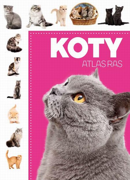 Koty Atlas ras